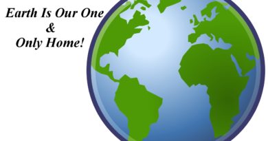 Project Detox Earth
